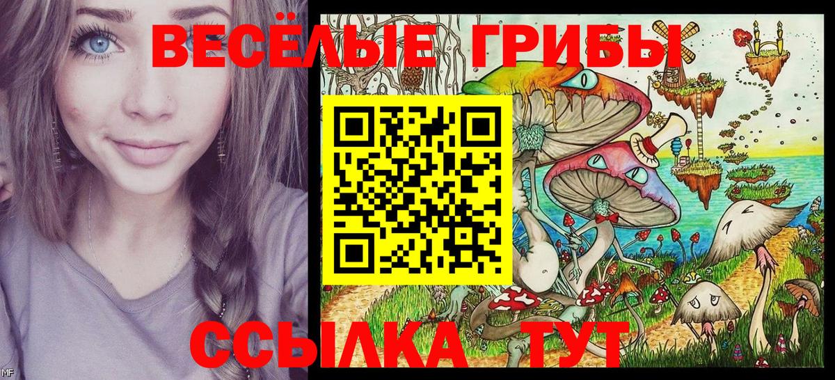 Галлюциногенные грибы Psilocybine cubensis Фурманов